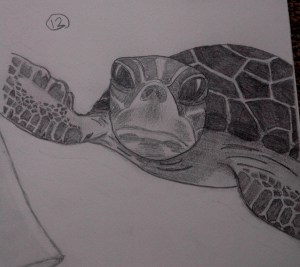 grinch turtle